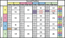 Genetic Code Table